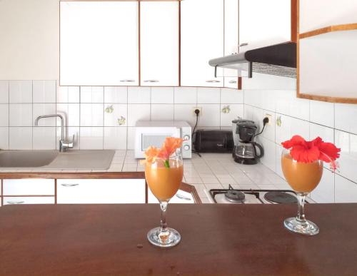 Sainte-Anne Apartment | Modern Appartement in Sainte Anne with Pool & Garden