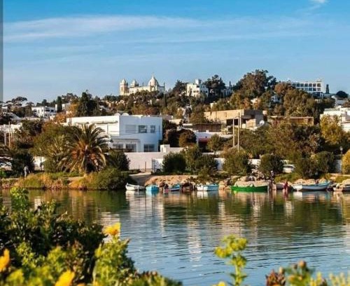 Amilcar Apartment | Kid-Friendly Appartement num3 Carthage Byrsa - 8.9/10 Rated