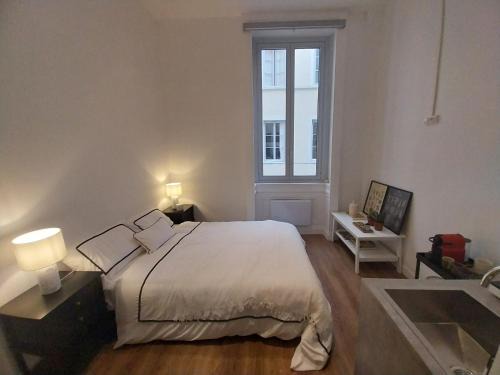 Terreaux - Bat d'argent Apartment | Cozy Appartement Place des Terreaux - Ideal for Families & Pets
