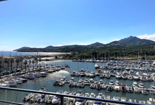 Plage d'Argeles Apartment | Ocean View Apartment at Acapulco, Rated 8.9 by Guests