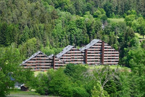 Tonbach Apartment | Pet-Friendly Appartement Vogelkoje Nummer 35 with Pool