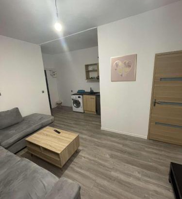 Lille Sud Apartment | Family-Friendly Appartements for Four in a Prime Location