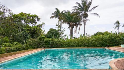 Cayenne Apartment | Stylish Appartements Cayenne with Pool & High Guest Rating