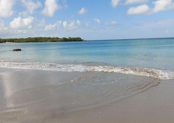 Sainte-Anne Apartment | Inviting Appartements Residence Mahoghany with Ocean Views