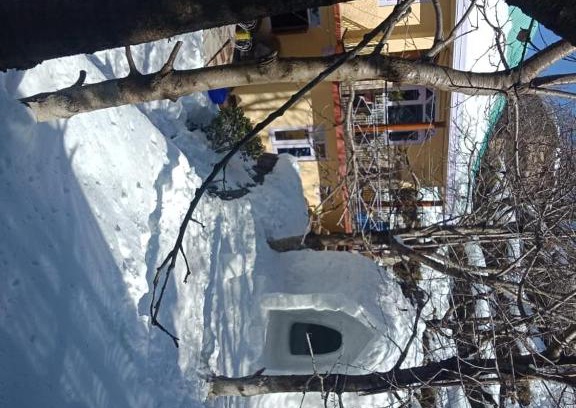 Kumharsain House | Relaxing Apple Cherry Farm Stay with Pet-Friendly Amenities