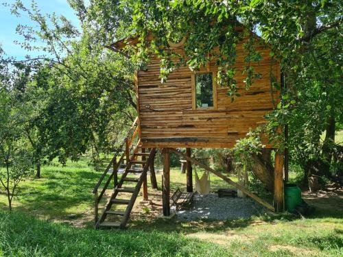 Valea Mare-Pravat Other | Pet-Friendly Apple Tree Cabin with 10/10 Guest Rating