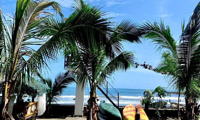 Real Hotel | Idyllic Appleton Little Paradise Beach Resort Awaits You