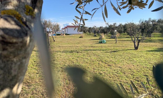 Boncore Bed & Breakfast | Discover Apulia Maris: Pet-Friendly & Ocean View Retreat