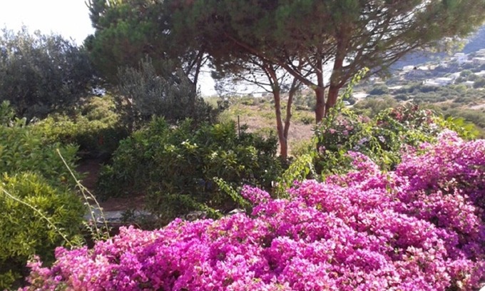 Filicudi Porto House | ARCHETTO 2 A ROMANTIC NEST BETWEEN BLUE AND GREEN
