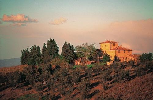 San Casciano in Val di Pesa Villa | Pet-Friendly Archipettoli with Oceanfront Pool Access