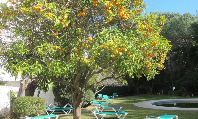 Golden Mile Apartment | Stylish Apartment Steps from Marbella's Beach and Downtown