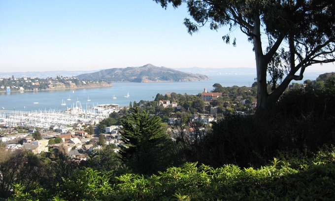 Sausalito House | Architectural Gem with Ocean Views and Family-Friendly Amenities