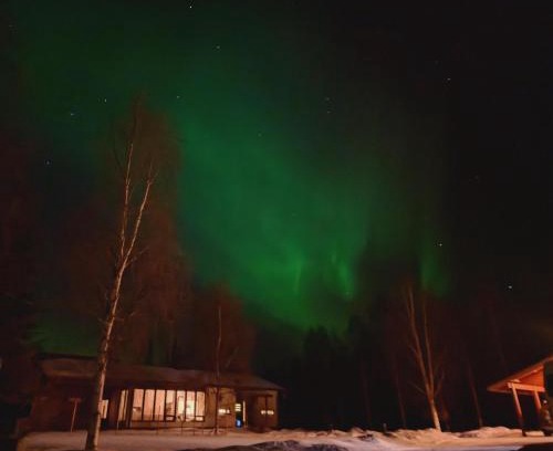 Rovaniemi Apartment | Arctic Fox Rovaniemi
