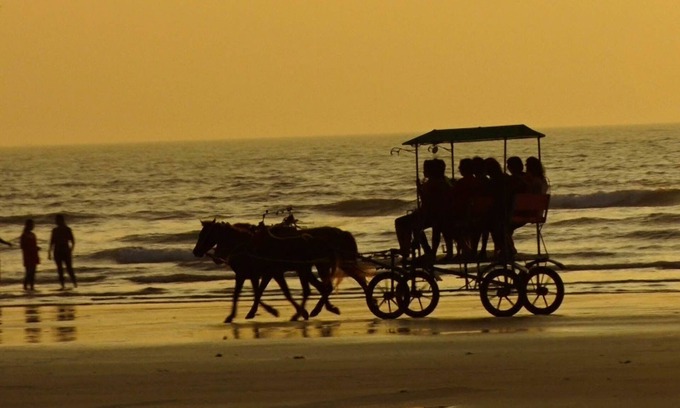 Diveagar Hotel | Areca Palms: Family-Friendly Retreat with Delicious Dining
