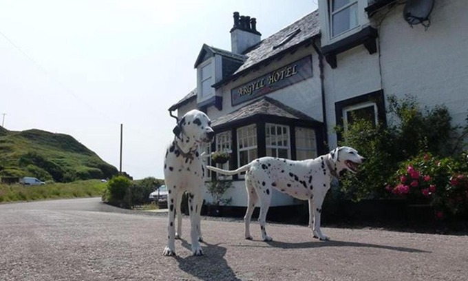 Bellochantuy Hotel | Argyll Hotel: Guest Rated 9.4 with Oceanfront Amenities