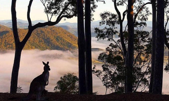 Vacy Cabin | Experience Arinya Lodge: Mountaintop Wilderness Getaway
