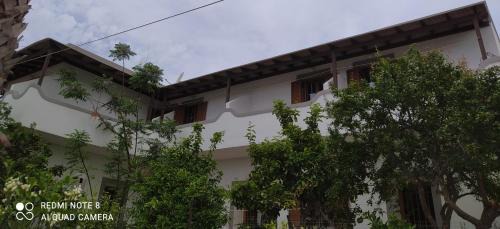 Arkoi Hotel | Pet-Friendly Retreat at Arki Island-Katsavidis Awaits