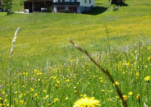 Maschl Apartment | Oceanfront Retreat at Arlberggut with Spa & Hot Tub