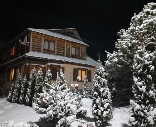 Tatariv House | Family-Friendly Arnika Tatariv with Pool & Kid’s Amenities
