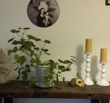 Glastonbury Bed & Breakfast | Discover AROHA: Guest Rated 9/10 for Unforgettable Stays