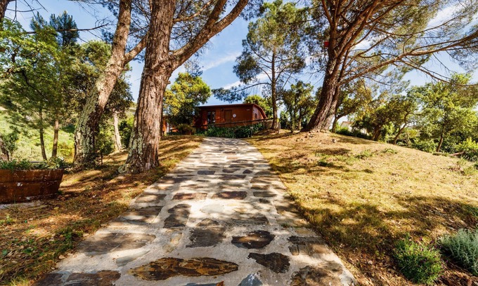 Castelo de Paiva House | Discover Arrabia Bunga Douro - Poolside Retreat in Madeira