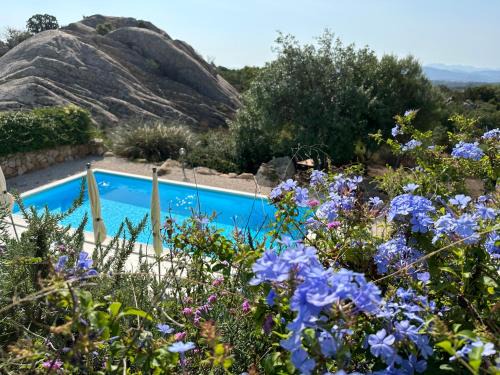 San Teodoro Villa | Art Villa: Oceanfront Bliss with Pool & 9.8 Guest Rating