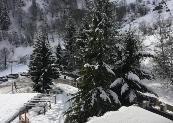 Artesina Apartment | Discover Artesina Mondole Sky: Family-Friendly Retreat