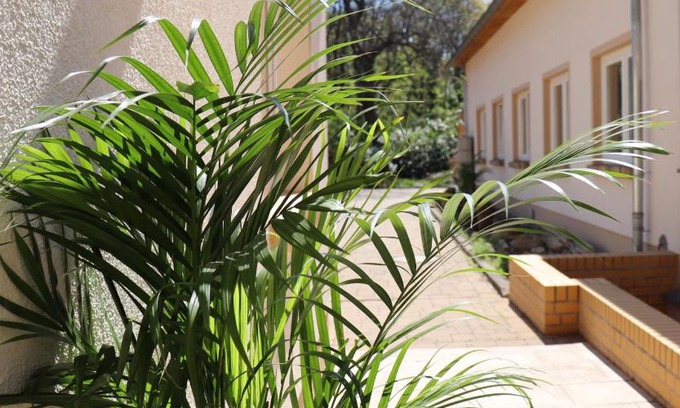 Gohlis Bed & Breakfast | Pet-Friendly Arthaus Leipzig with Breakfast & Family Amenities