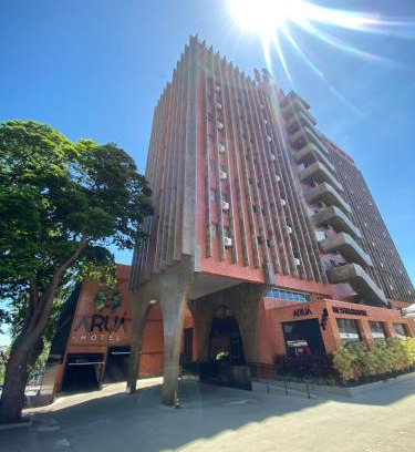 Presidente Prudente Hotel | Discover Aruá Hotel: Pet-Friendly Retreat with Pool
