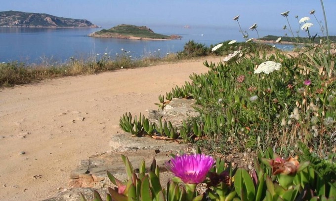 Monte Petrosu Apartment | Experience Asfoldelia: Oceanfront Spa Retreat for Families