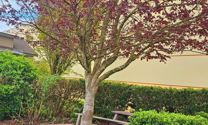 Tillamook Hotel | Eco-Friendly Haven at Ashley Inn of Tillamook, Rated 8/10