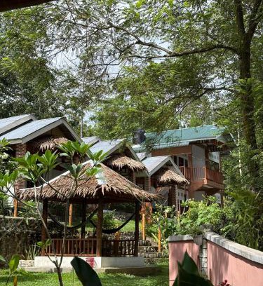 Bohorok Hotel | Asim Paris Guesthouse: Oceanfront Retreat with Trekking