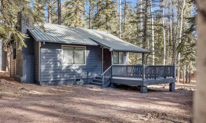 Greer Ski Chalet | Pet-Friendly Aspen Pine Retreat with Family Amenities