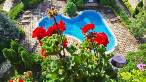 Razlog Apartment | Family-Friendly Aspen Suites A403 with Oceanfront Views