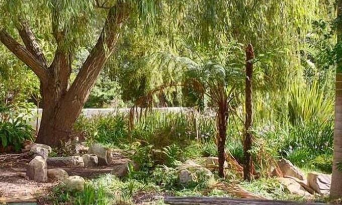 Kareedouw House | Experience Assegaaibosch Country Lodge: Pool & Dining Awaits