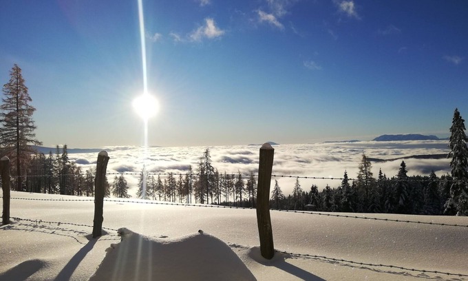 Bad Sankt Leonhard im Lavanttal Cabin | Cozy Almhütte with Sun Terrace, Wood Stove & Sauna