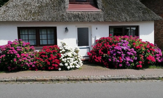 Schwabstedt House | Cozy Retreat by the Sea: Artist Couple's Summer Home
