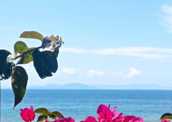 Skafidia House | Oceanfront Bliss at Athanasias House Pyrgi - Guest Rated 9.8