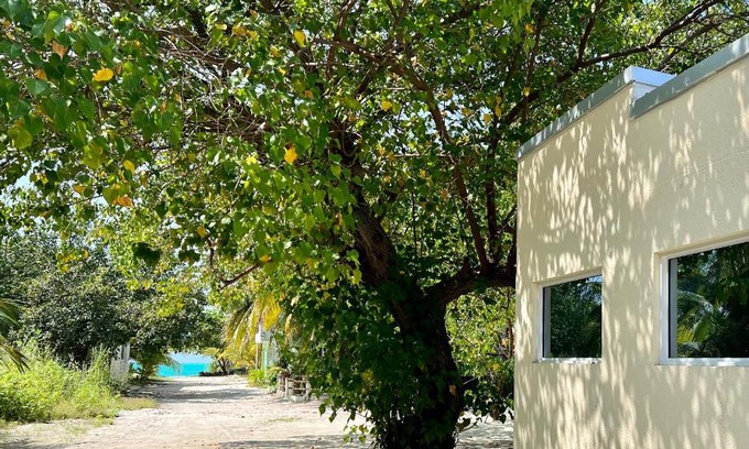Kelaa House | Welcoming Athiri Inn Kelaa: Ideal for Family Getaways