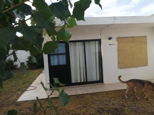 Atlantida Apartment | Atlantic 10: Pet-Friendly Oceanfront Retreat with Top Reviews