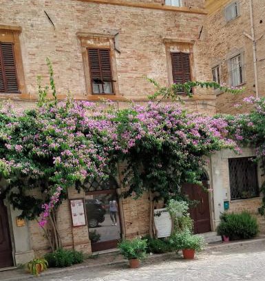 Corinaldo Hotel | ATTICO SULLA BOUGANVILLE: Guest Rated 10/10, Pet Friendly