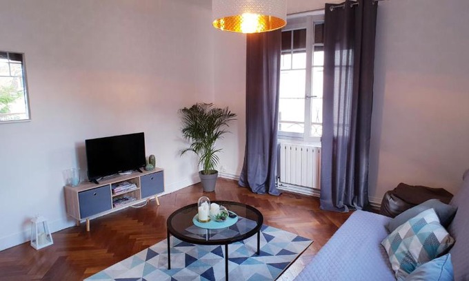 Joigny Apartment | Discover Au 36: Pet-Friendly Retreat in Joigny