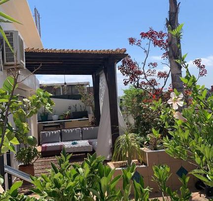 Cite Albert Apartment | Welcome to Au Bord du Palmier: Pet-Friendly Retreat