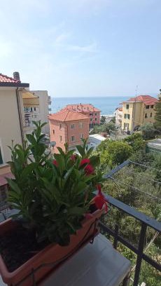 Varazze Bed & Breakfast | Discover Au Cavettu B&B: Pet-Friendly Retreat with Kitchen