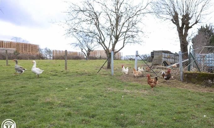 Neuf-Eglise House | Family-Friendly Stay at Au Coin des Bois - Neuf Eglise
