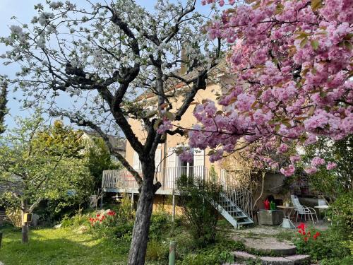 Zuchwil Bed & Breakfast | Pet-Friendly Getaway at Au Jardin - Rated 9.4 by Guests