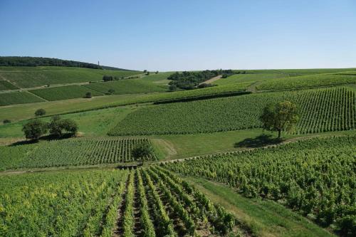 Sancerre House | Relax at Au pied des Vignes: Child-Friendly Retreat