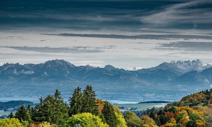 Saint-George Hotel | Pet-Friendly Retreat at Auberge au Cavalier with Dining