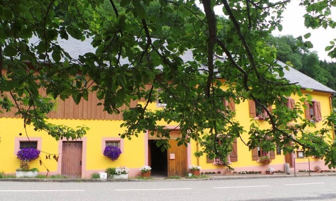 Sainte-Marie-aux-Mines Hotel | Eco-Friendly Retreat at Auberge de la Canardière