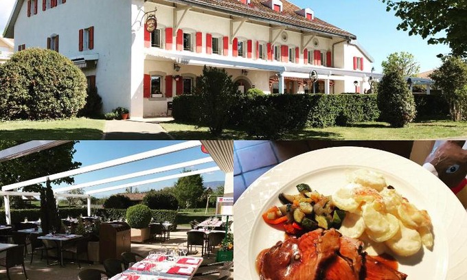 Coinsins Hotel | Pet-Friendly Auberge de la Réunion with Great Reviews